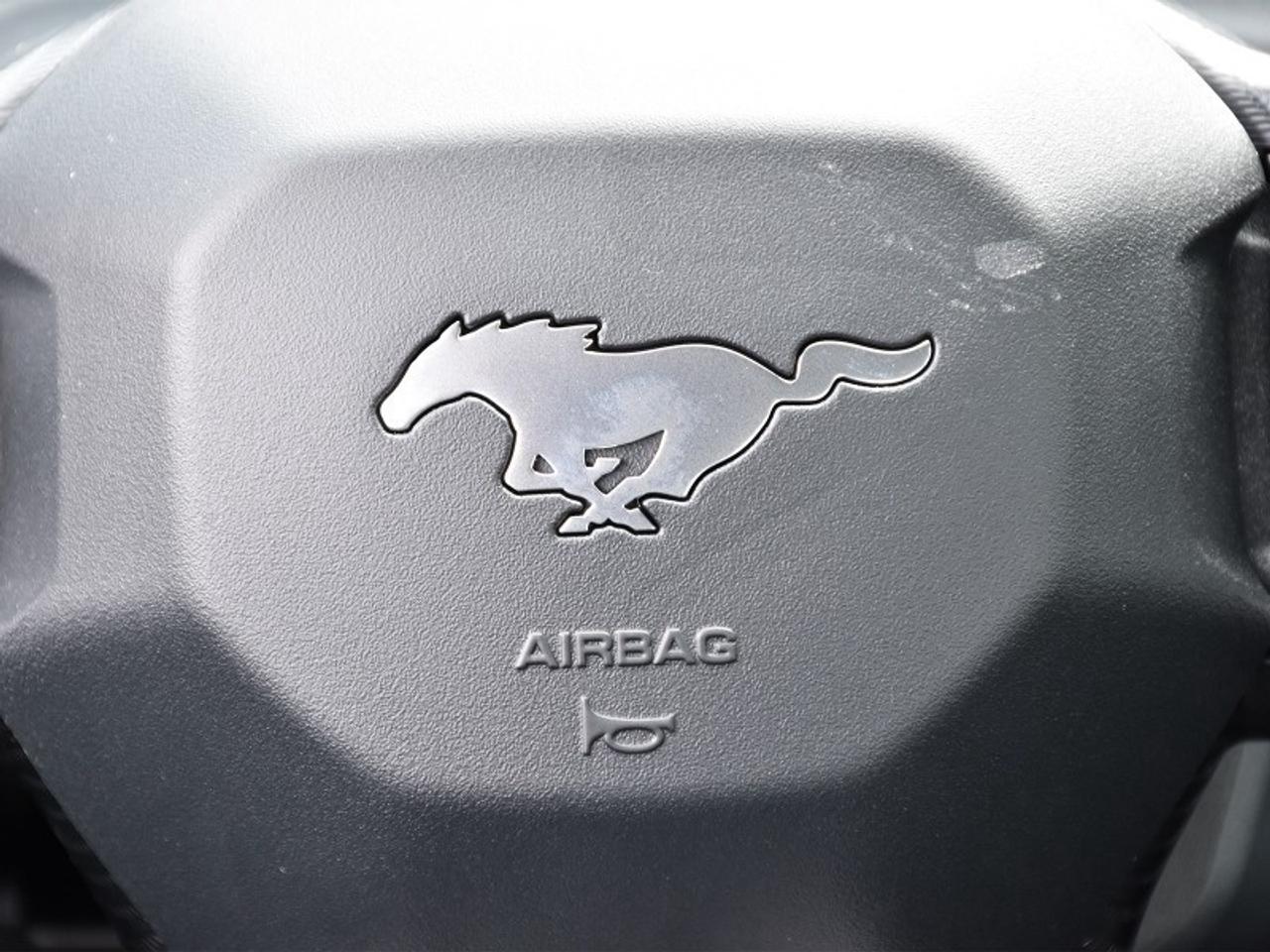 2026 Ford Mustang EcoBoost Photo