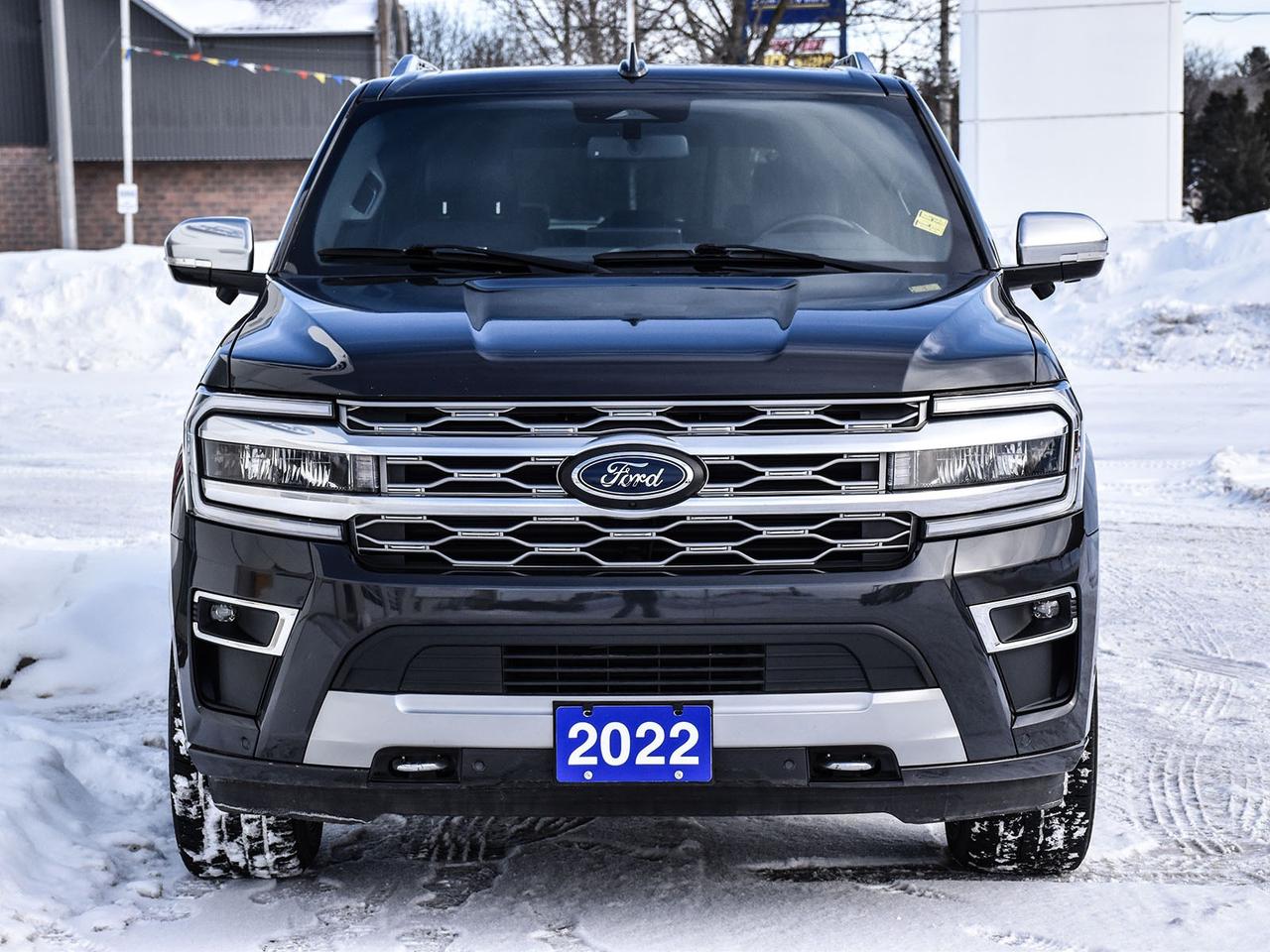 2022 Ford Expedition Platinum Photo