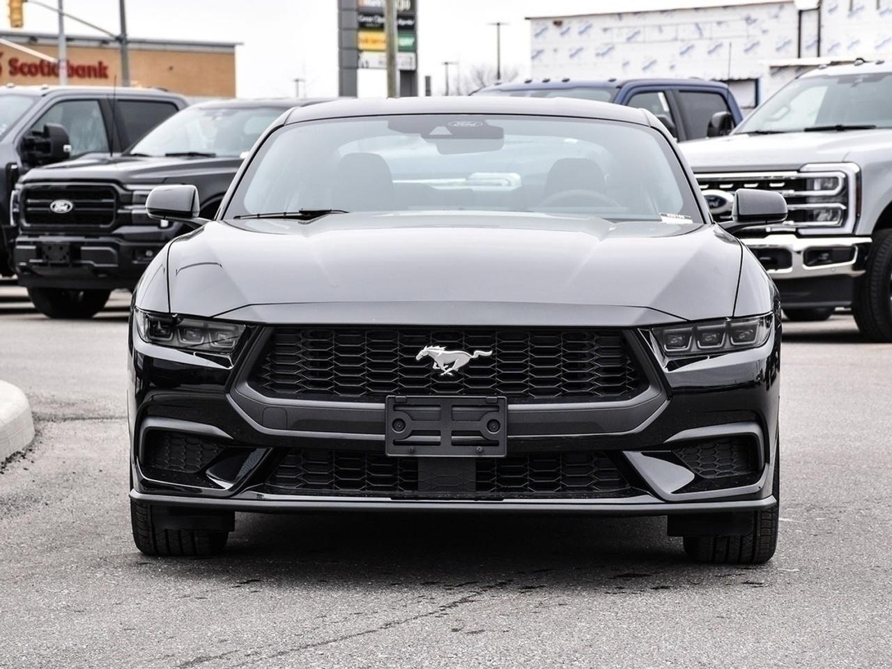 2026 Ford Mustang EcoBoost Photo