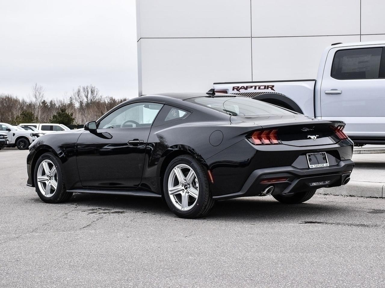 2026 Ford Mustang EcoBoost Photo