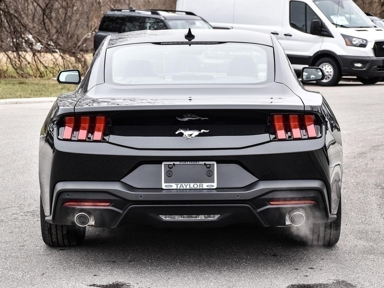 2026 Ford Mustang EcoBoost Photo