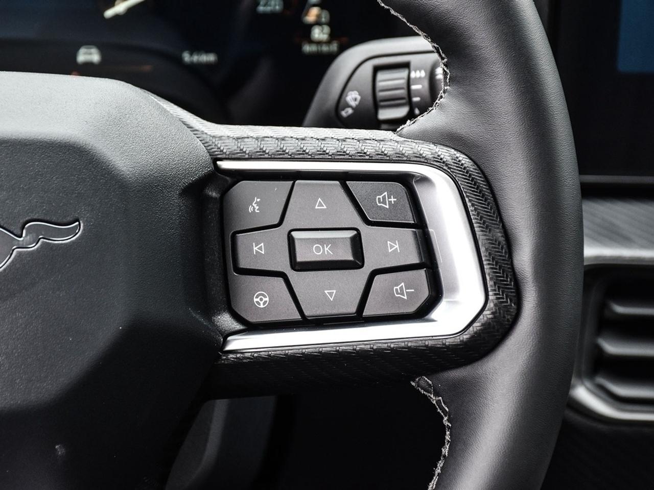 2026 Ford Mustang EcoBoost Photo