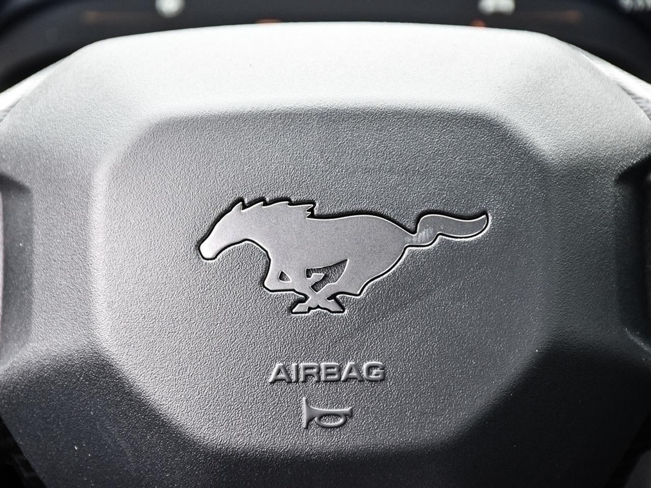 2026 Ford Mustang EcoBoost Photo