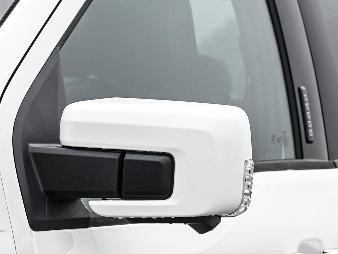 2026 Ford F-150 Platinum Photo