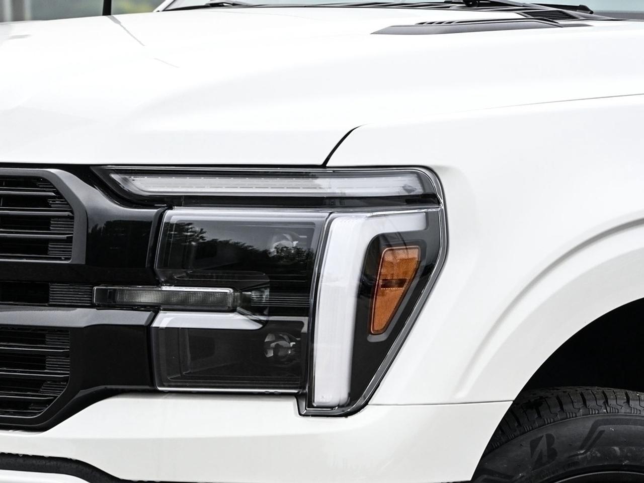 2026 Ford F-150 Platinum Photo