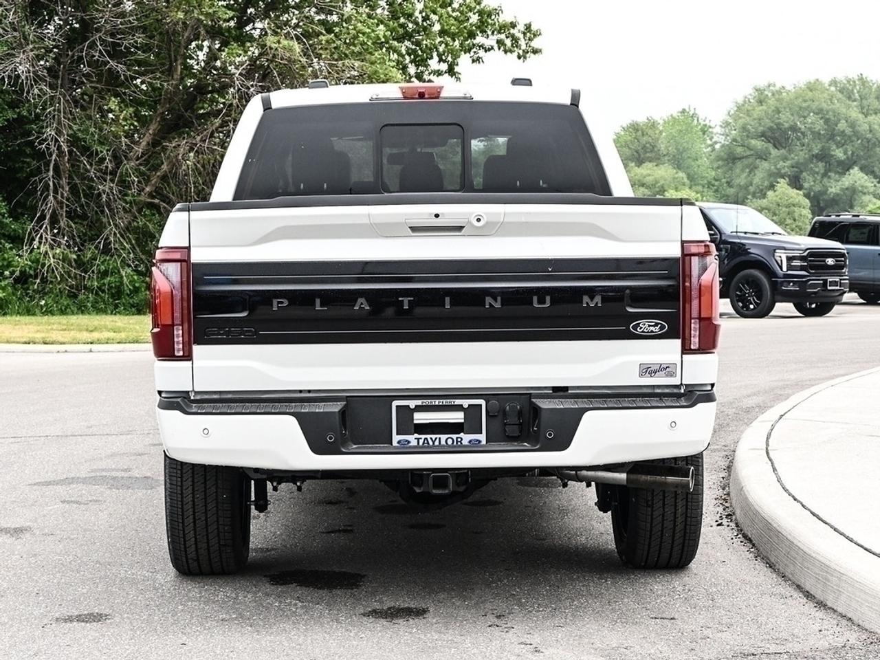 2026 Ford F-150 Platinum Photo