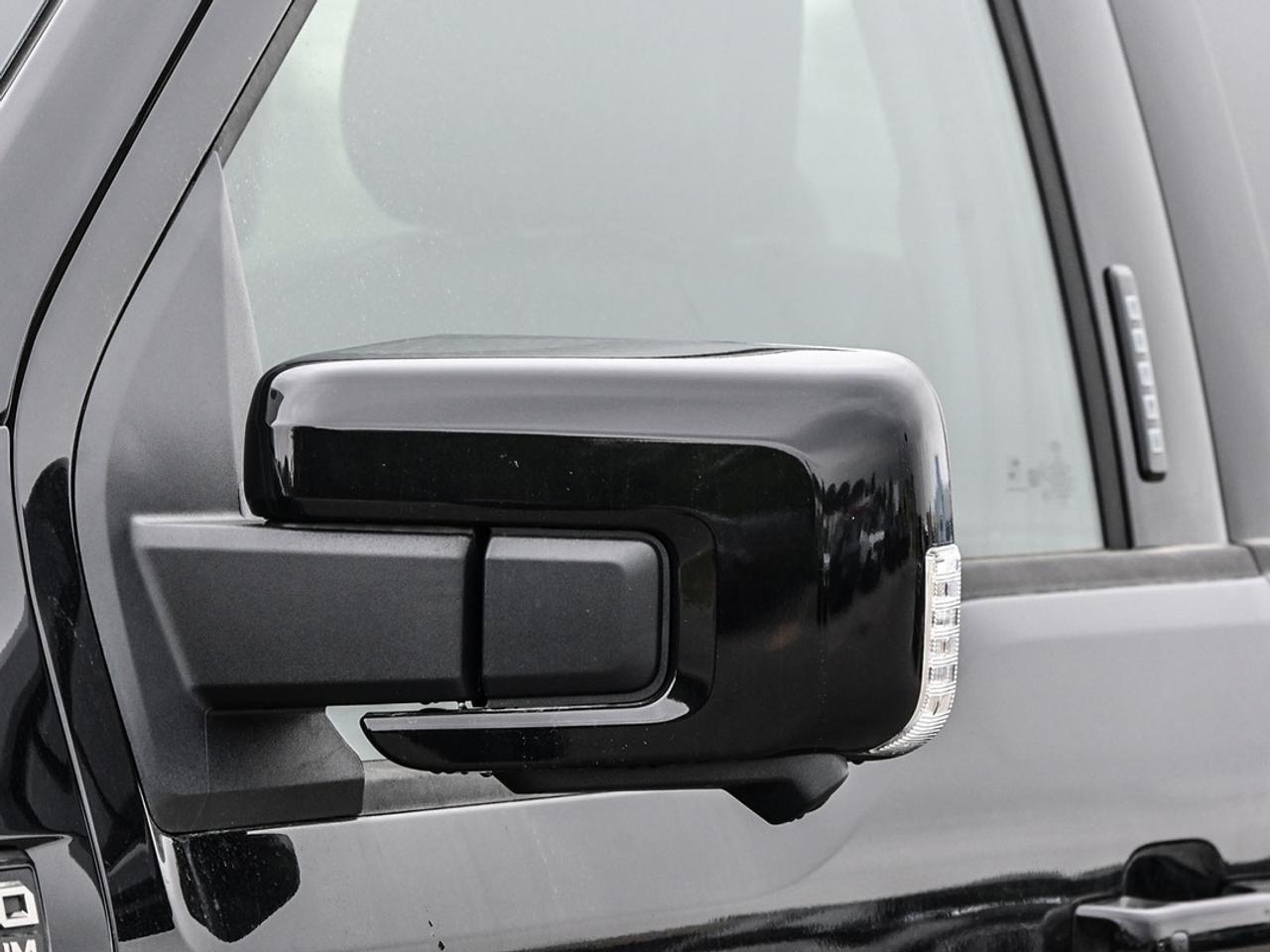 2026 Ford F-150 Platinum Photo