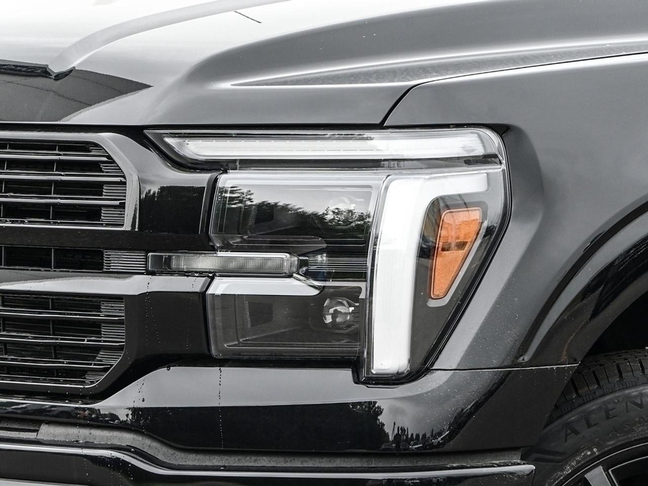 2026 Ford F-150 Platinum Photo5