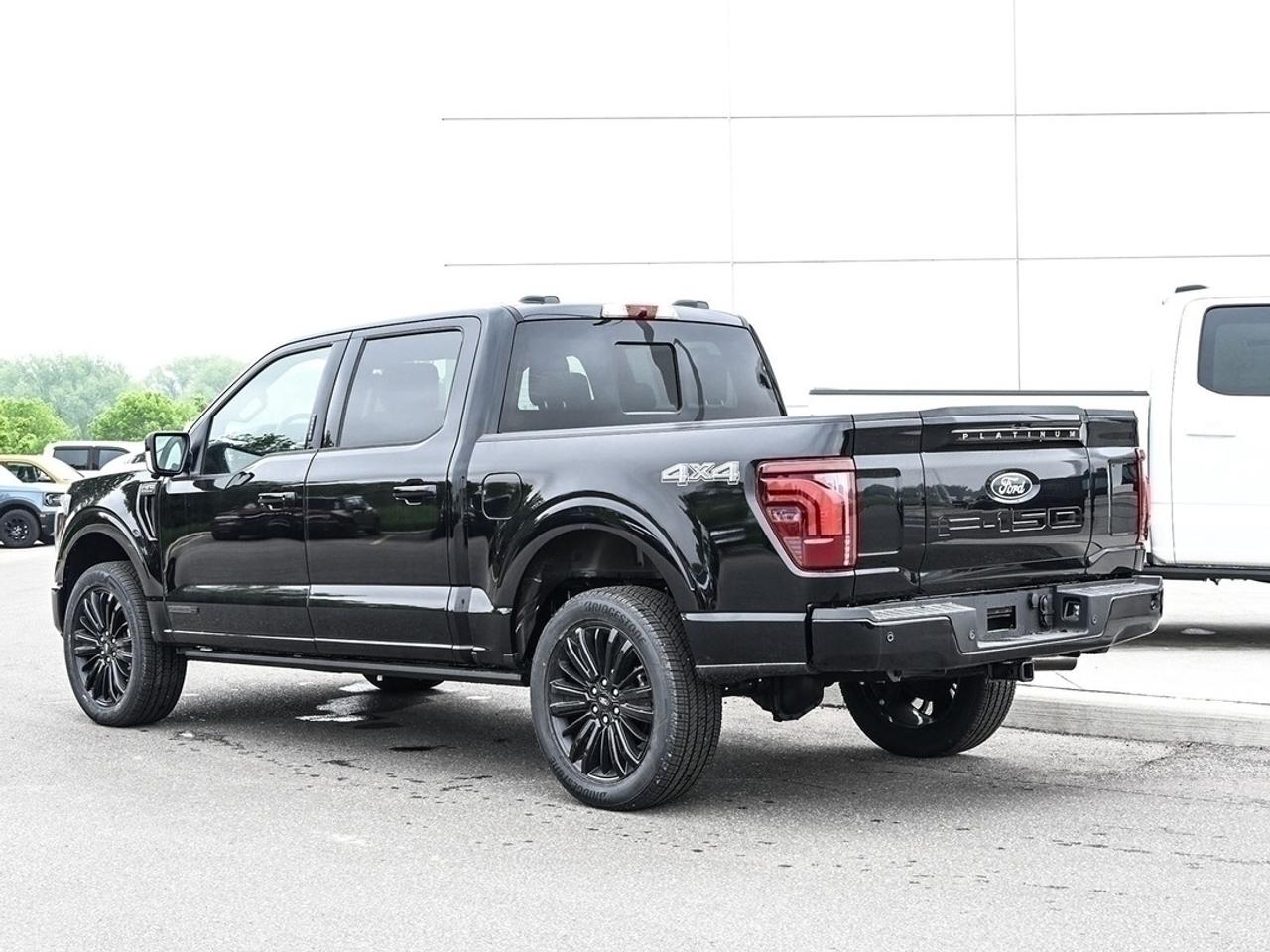 2026 Ford F-150 Platinum Photo