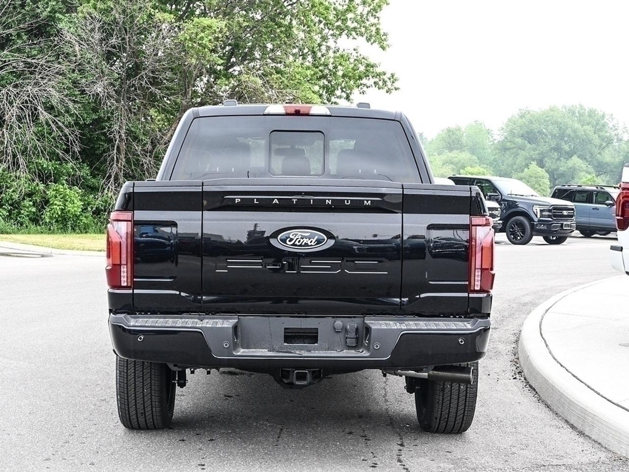 2026 Ford F-150 Platinum Photo