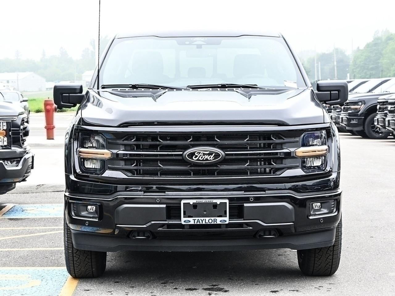 2026 Ford F-150 XLT Photo