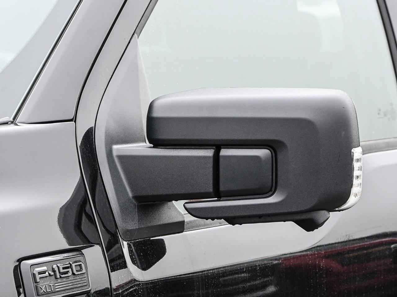 2026 Ford F-150 XLT Photo