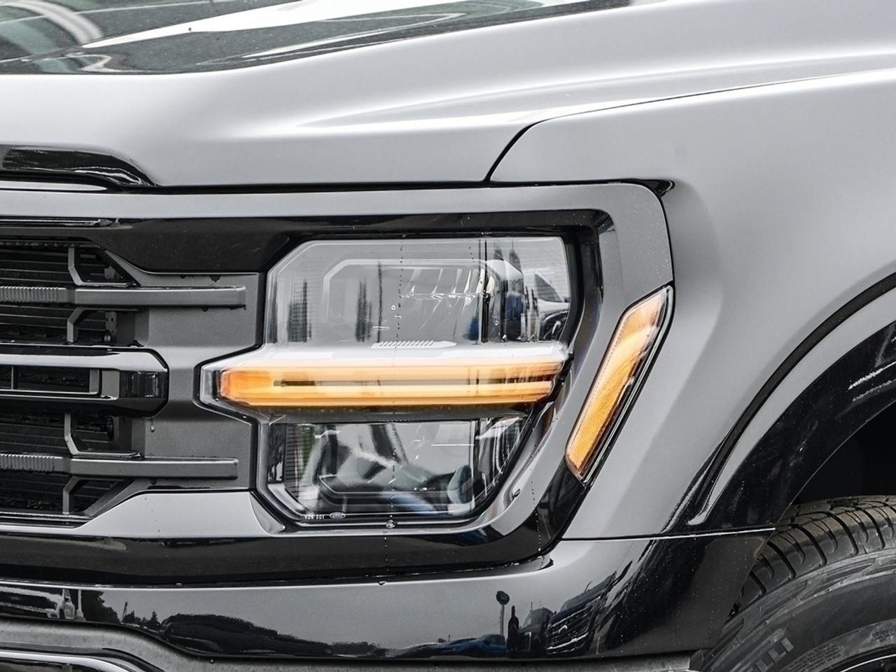 2026 Ford F-150 XLT Photo