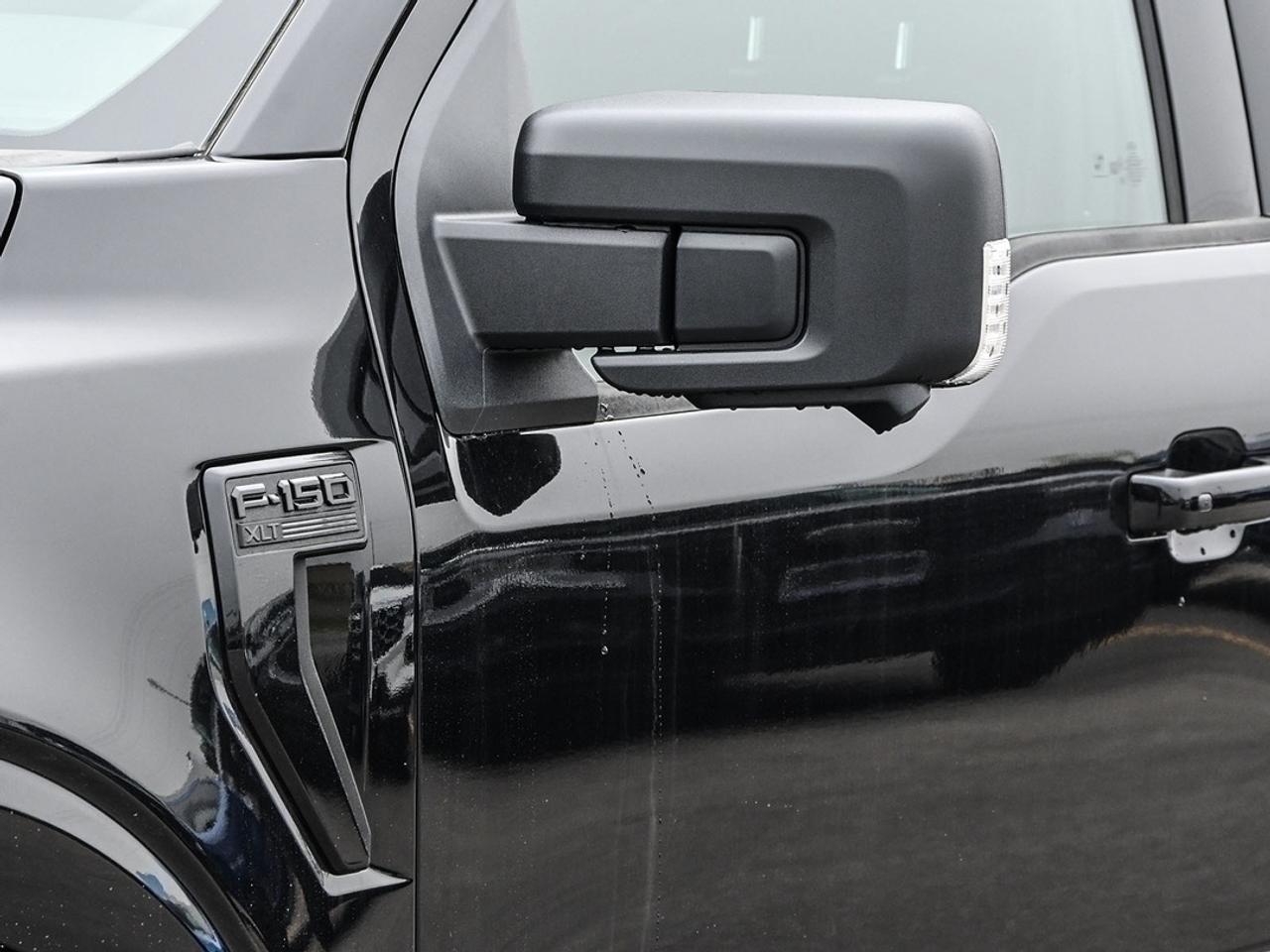 2026 Ford F-150 XLT Photo