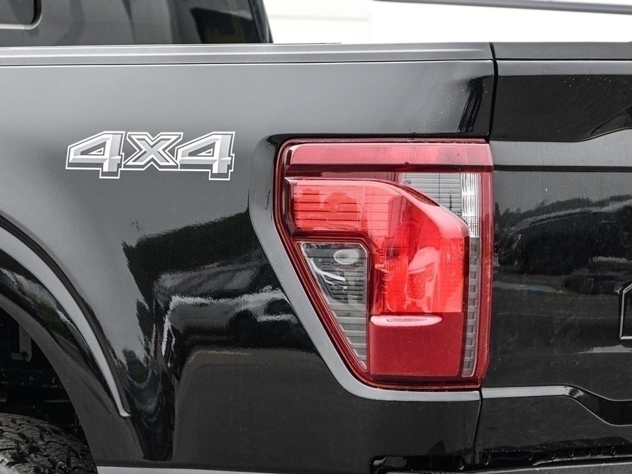 2026 Ford F-150 XLT Photo
