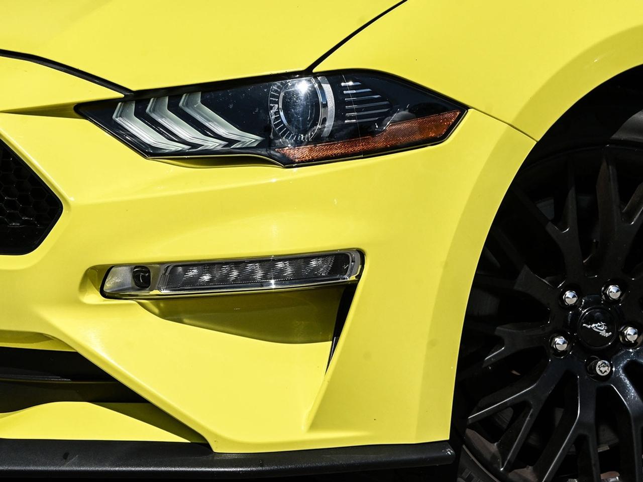 2021 Ford Mustang GT Premium Photo
