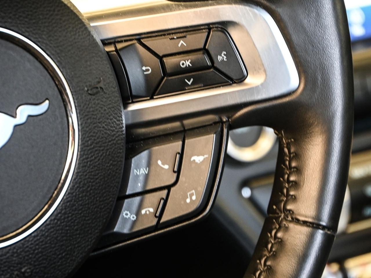 2021 Ford Mustang GT Premium Photo