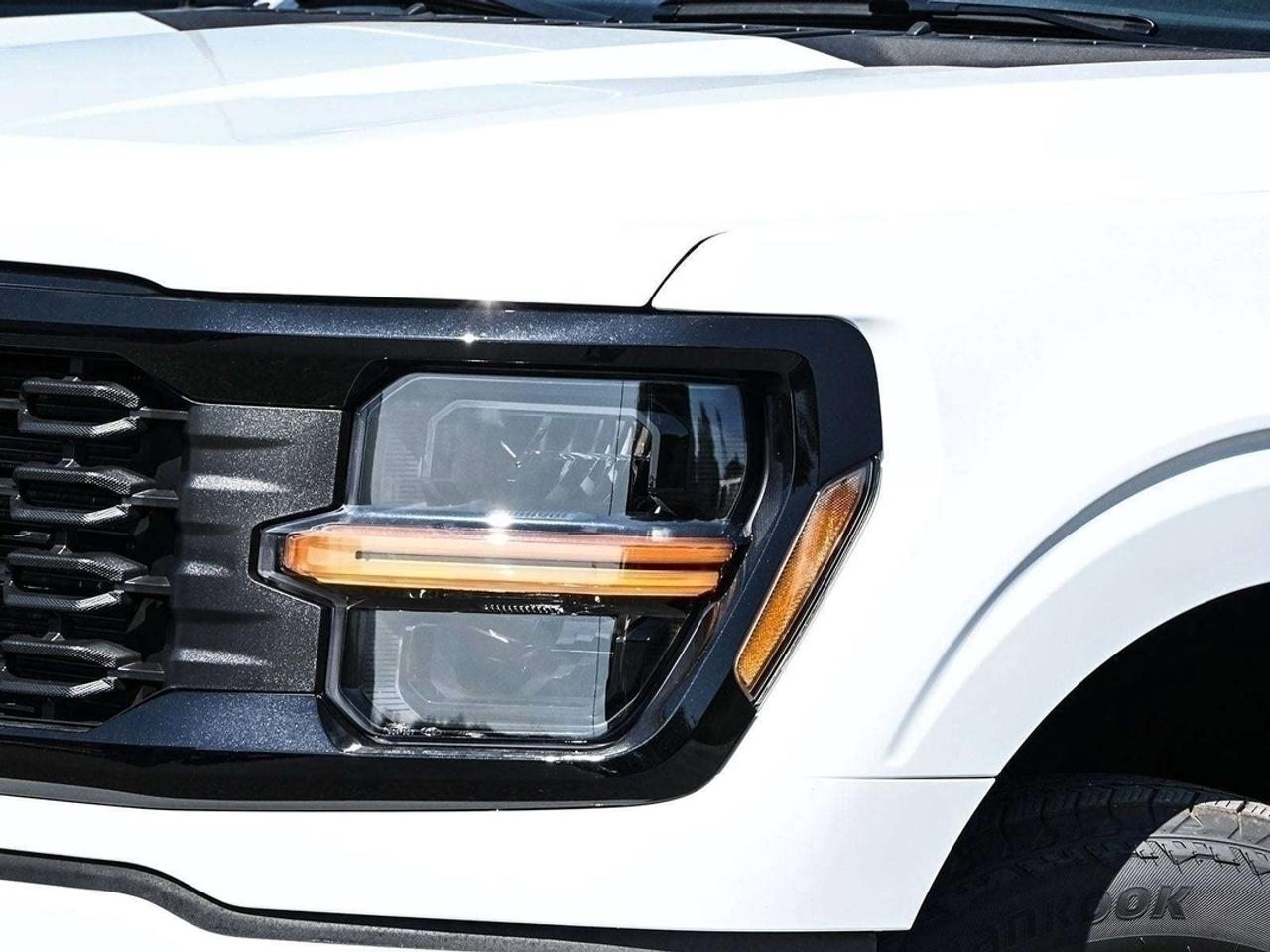2026 Ford F-150 STX Photo
