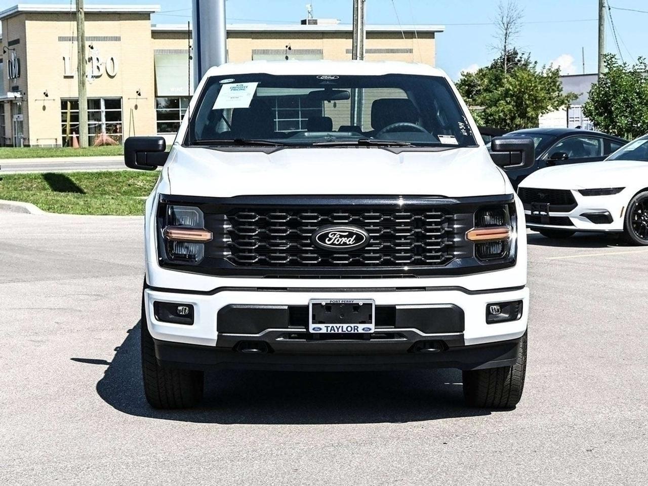 2026 Ford F-150 STX Photo