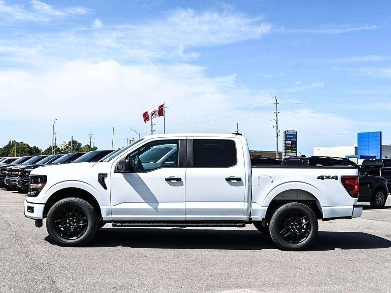2026 Ford F-150 STX Photo