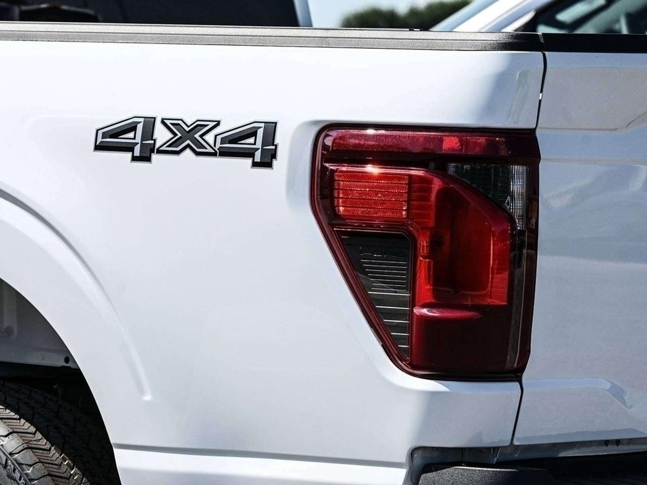 2026 Ford F-150 STX Photo