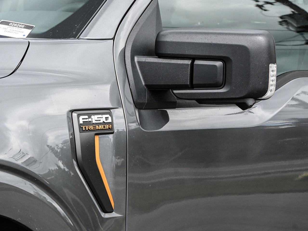 2026 Ford F-150 Tremor Photo