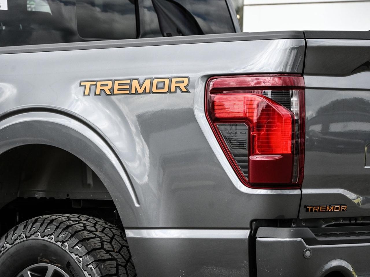 2026 Ford F-150 Tremor Photo