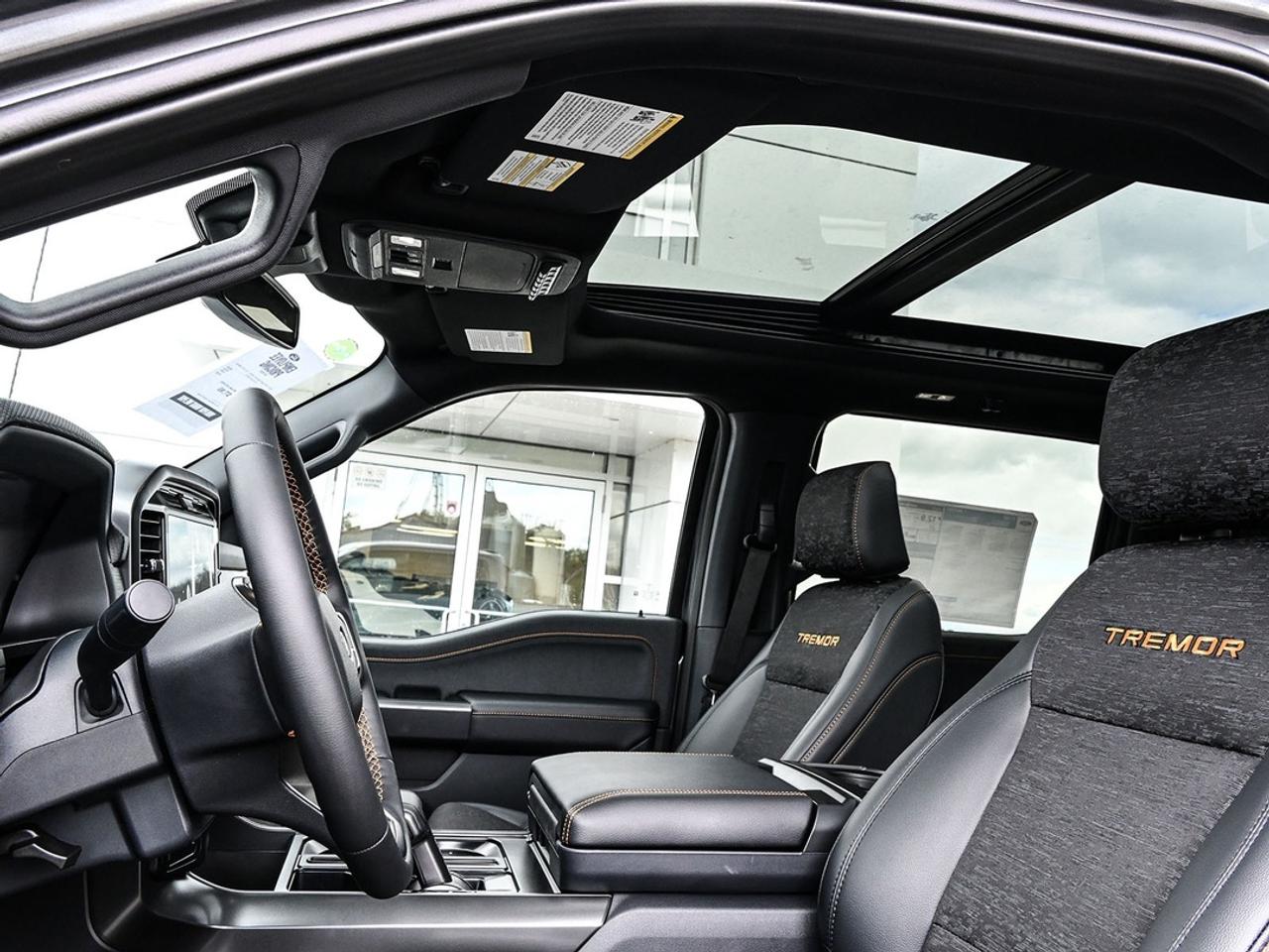 2026 Ford F-150 Tremor Photo