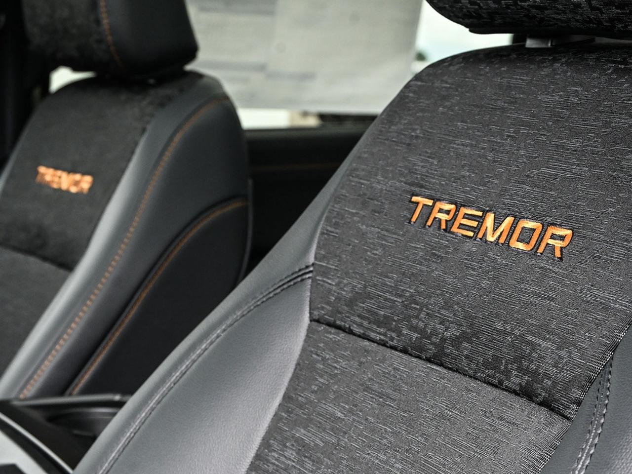 2026 Ford F-150 Tremor Photo