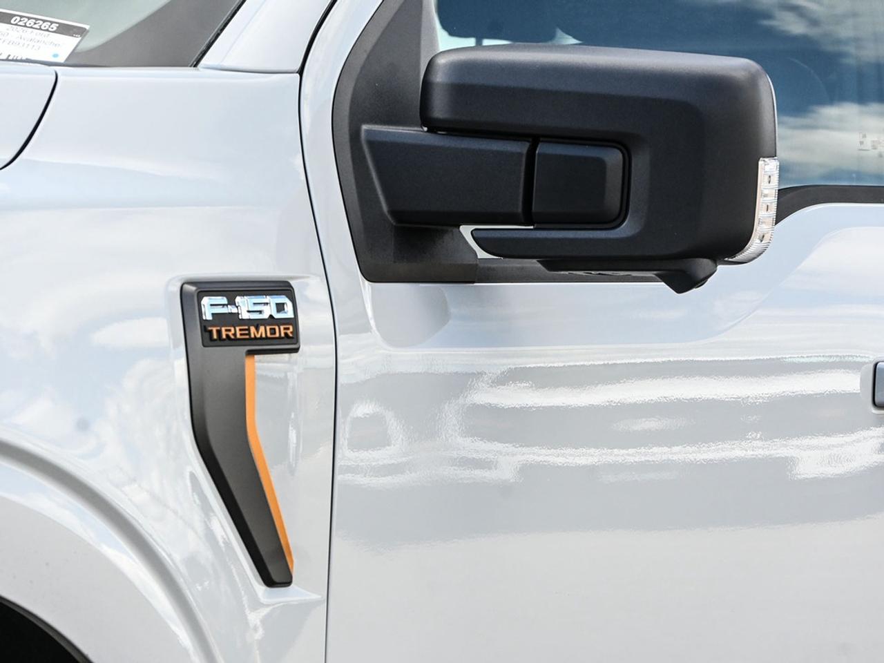 2026 Ford F-150 Tremor Photo