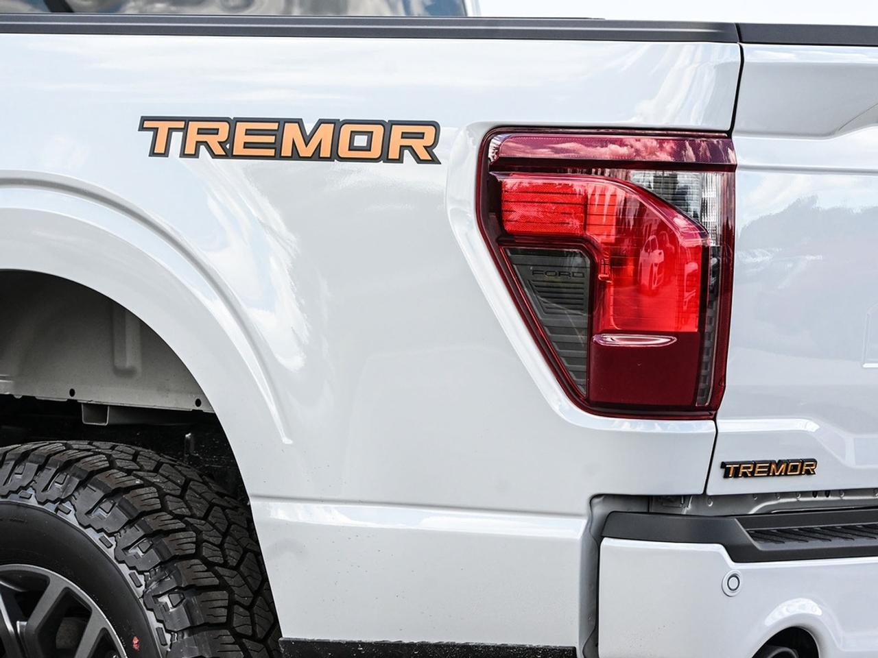 2026 Ford F-150 Tremor Photo