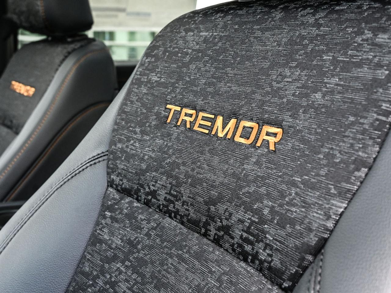 2026 Ford F-150 Tremor Photo