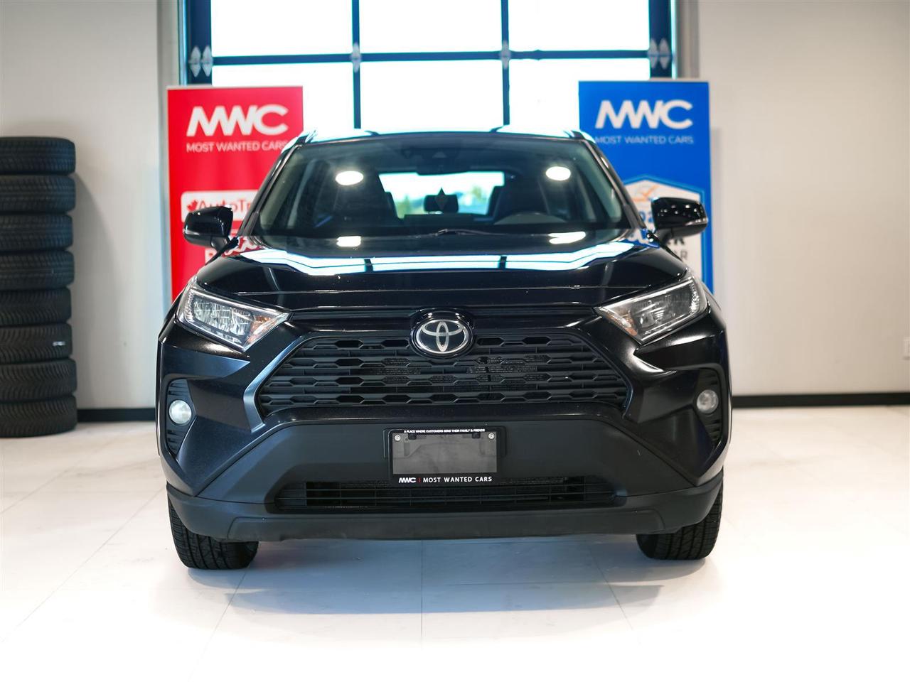 2019 Toyota RAV4 XLE PREMIUM AWD LTHR | ROOF | NO ACCIDENTS Photo