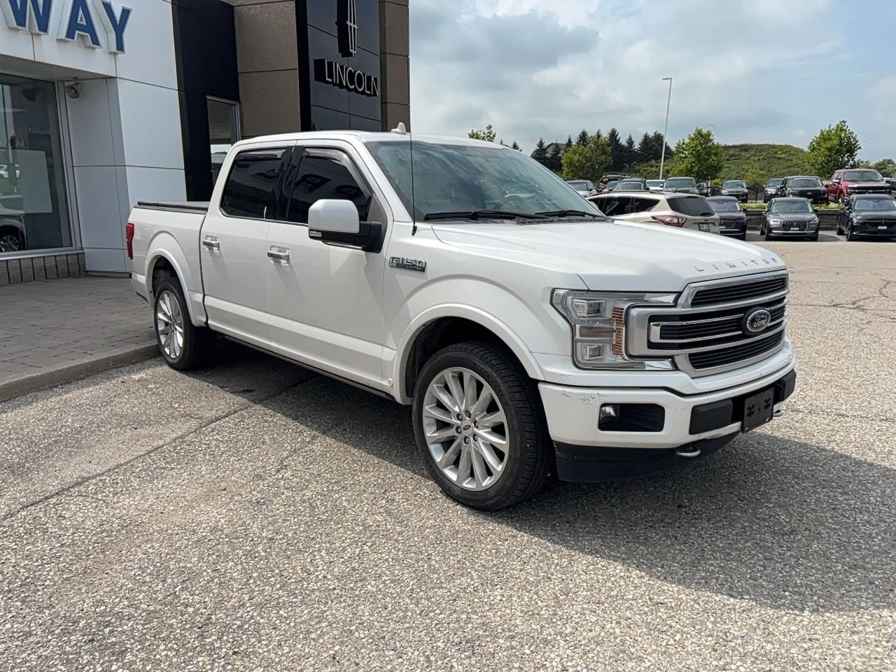 2019 Ford F-150 LIMITED, 22" RIMS, LEATHER, ROOF, LOCAL TRADE! Photo2