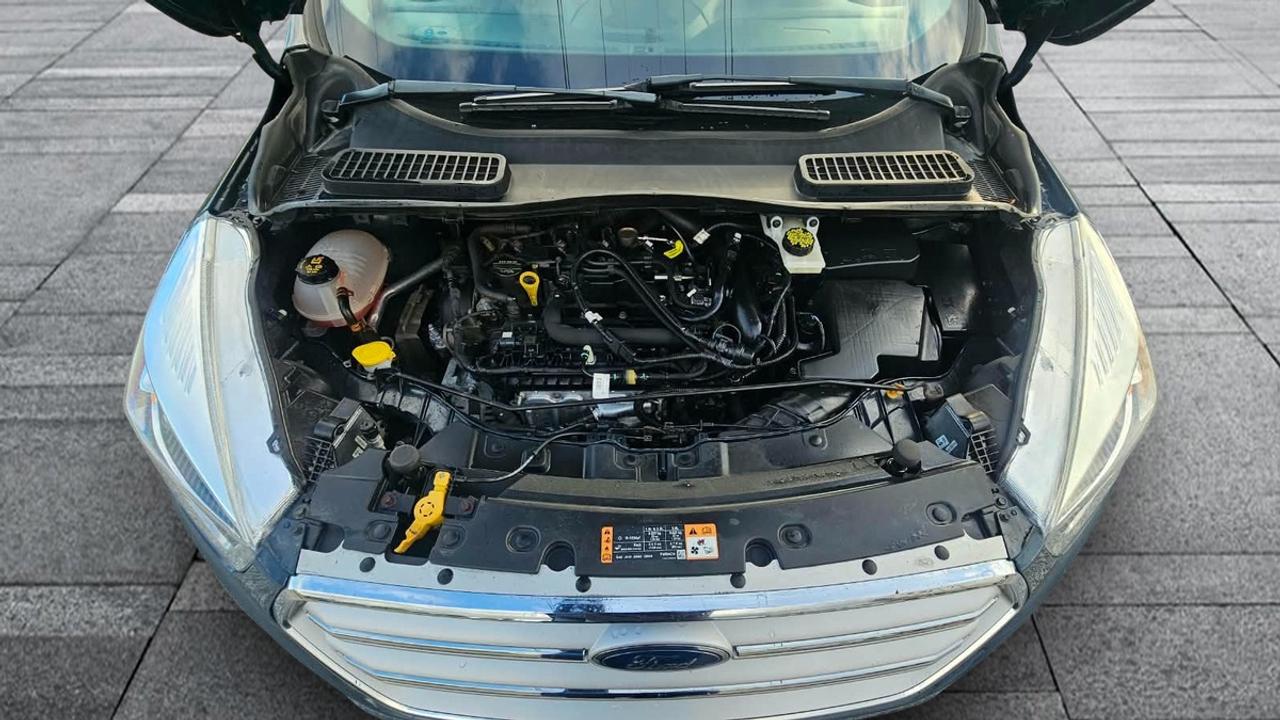 2019 Ford Escape SEL Photo