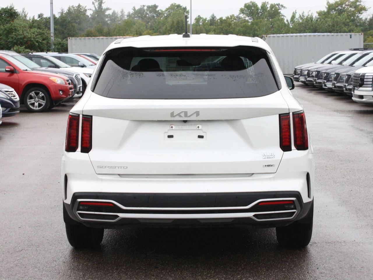 2023 Kia Sorento Hybrid / AWD / Heated Seats / Blind Spot Photo
