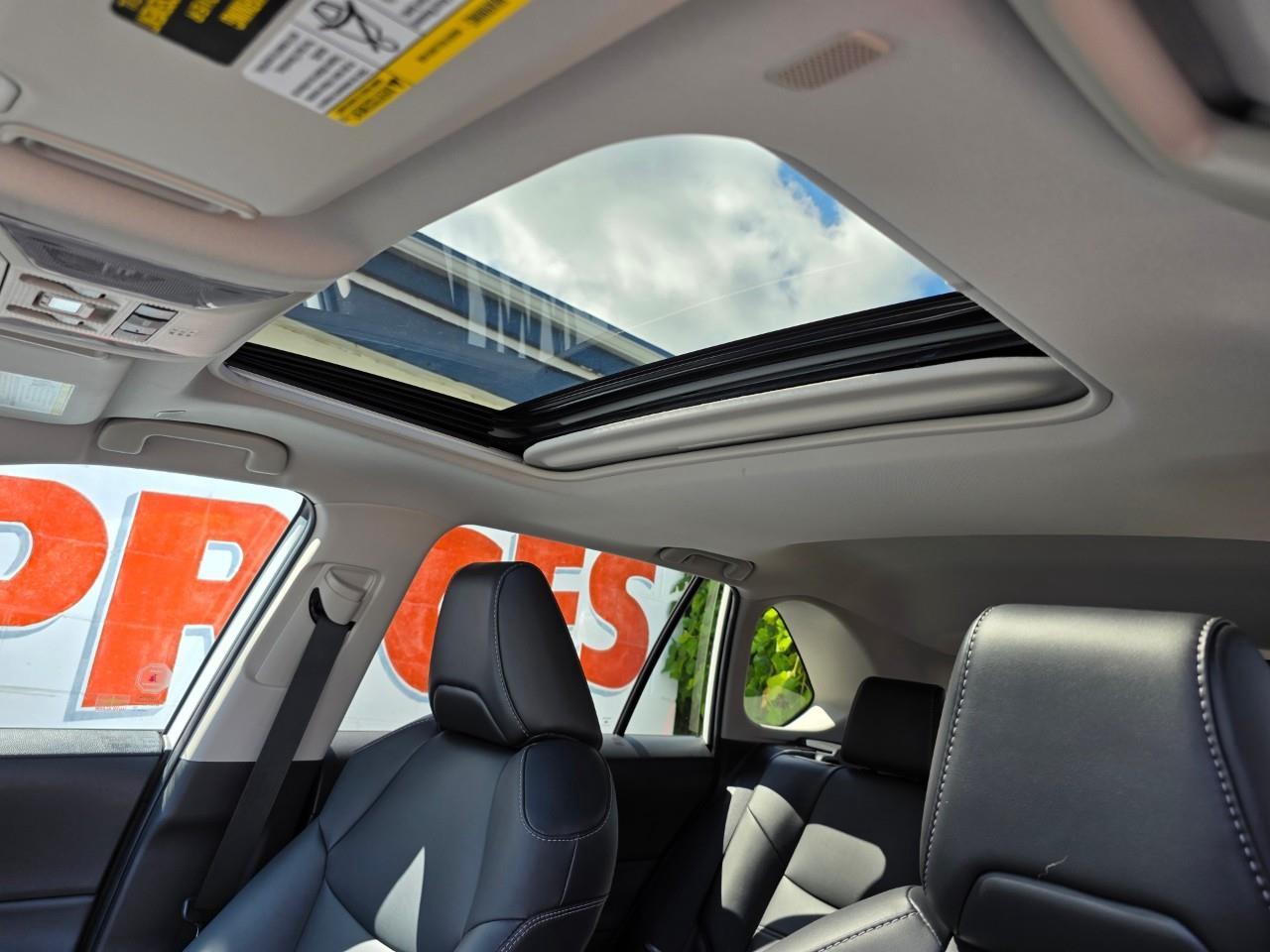 2023 Toyota RAV4 Hybrid XLE 4dr All-Wheel Drive Photo