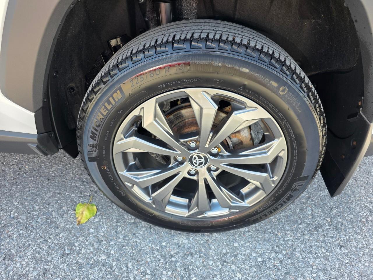 2023 Toyota RAV4 Hybrid XLE 4dr All-Wheel Drive Photo