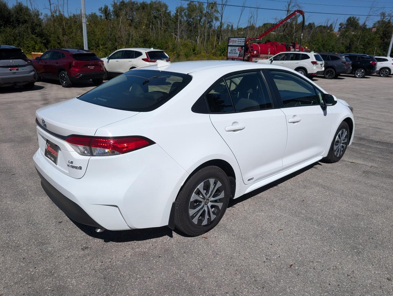 2024 Toyota Corolla Hybrid LE 4dr All-Wheel Drive Sedan Photo