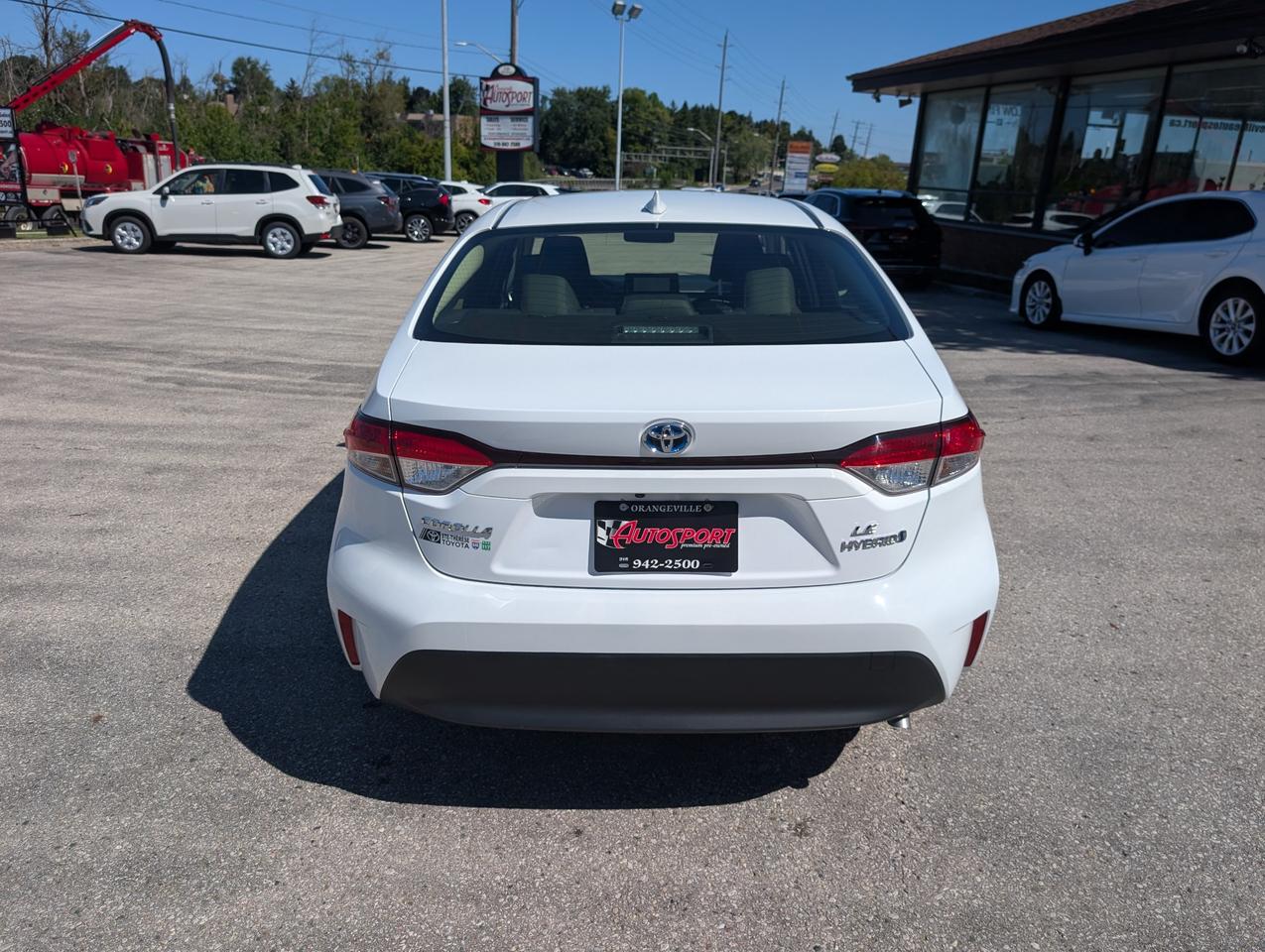 2024 Toyota Corolla Hybrid LE 4dr All-Wheel Drive Sedan Photo