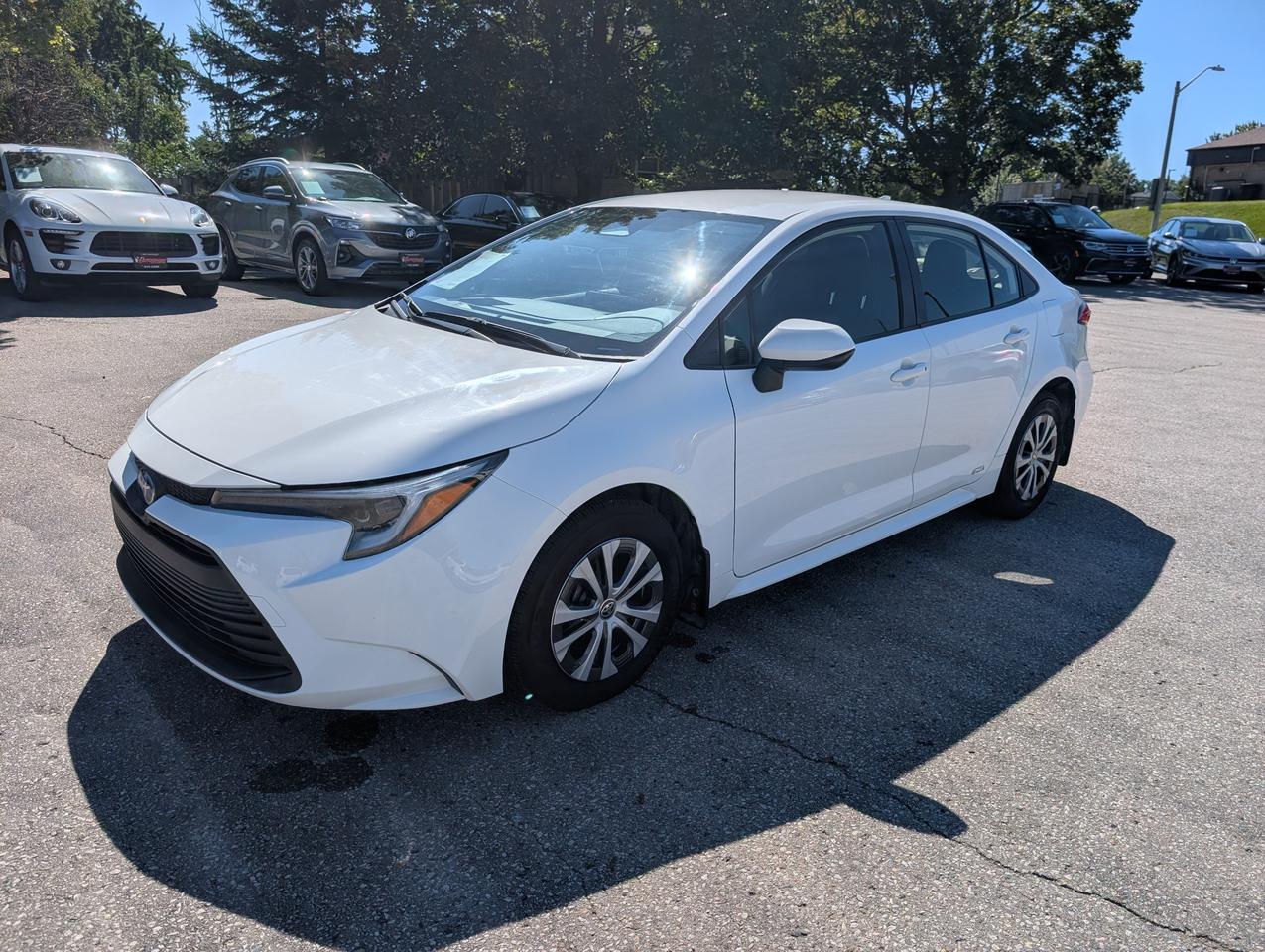 Vehicle Image