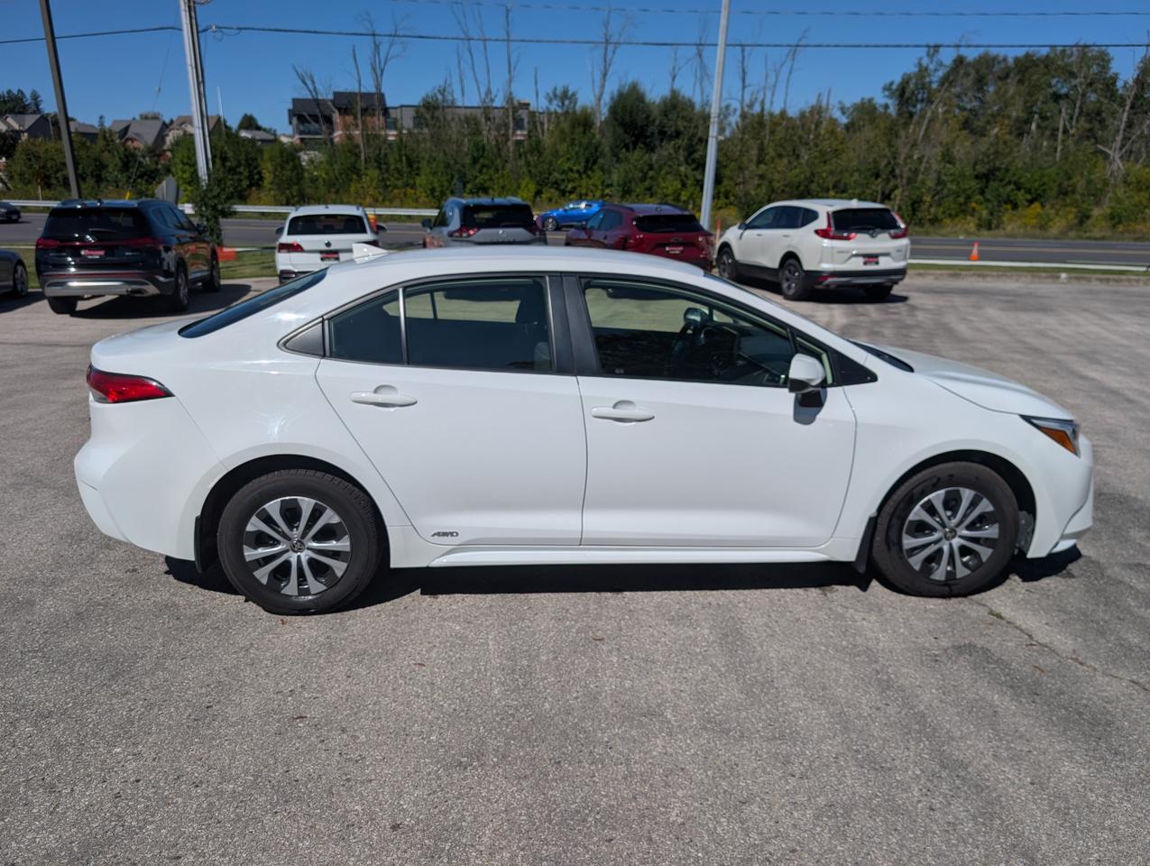 2024 Toyota Corolla Hybrid LE 4dr All-Wheel Drive Sedan Photo
