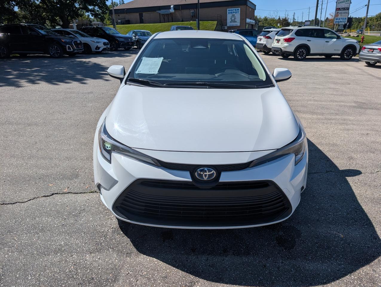 2024 Toyota Corolla Hybrid LE 4dr All-Wheel Drive Sedan Photo