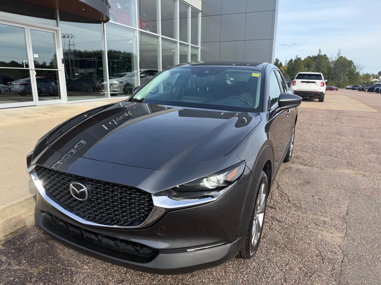 2021 Mazda CX-30 GS 4dr i-ACTIV All-Wheel Drive Sport Utility Photo
