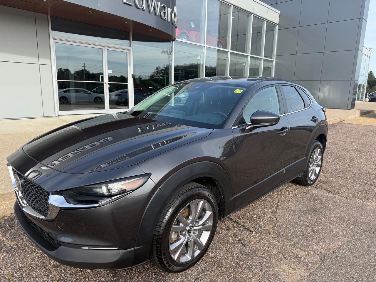 2021 Mazda CX-30 GS 4dr i-ACTIV All-Wheel Drive Sport Utility Photo
