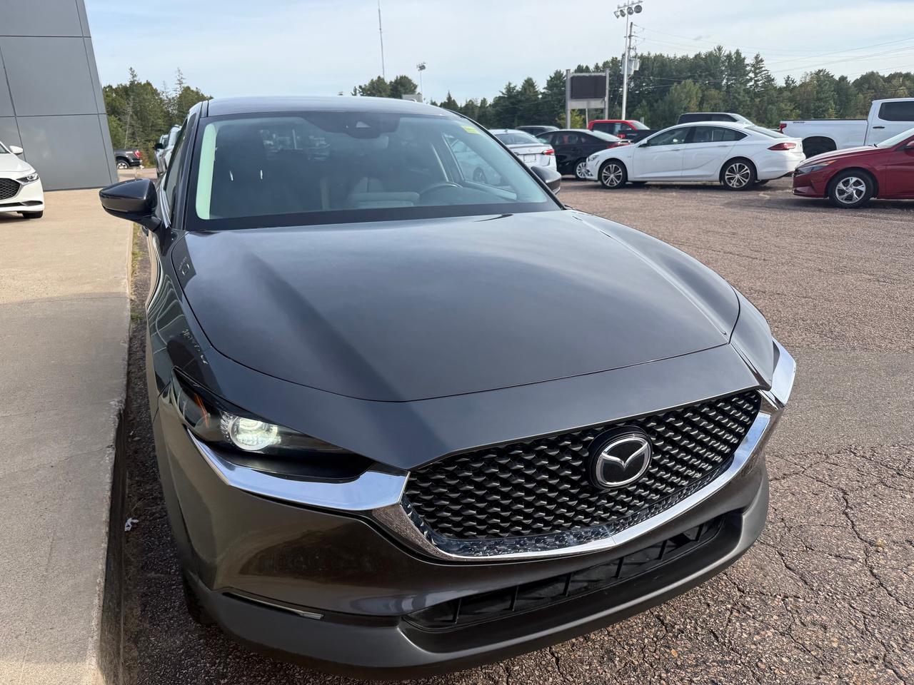 2021 Mazda CX-30 GS 4dr i-ACTIV All-Wheel Drive Sport Utility Photo