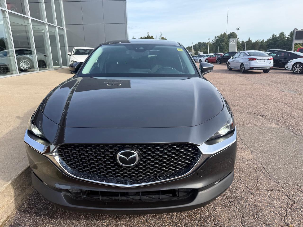 2021 Mazda CX-30 GS 4dr i-ACTIV All-Wheel Drive Sport Utility Photo
