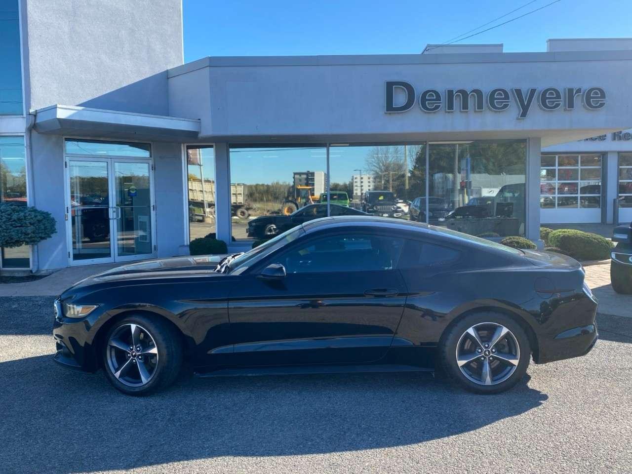 2017 Ford Mustang 2DR FASTBACK V6 Photo5