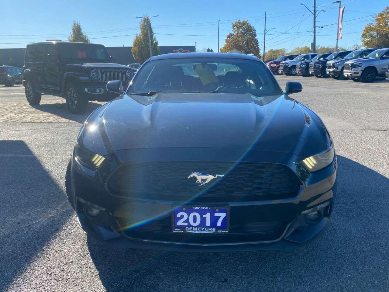 2017 Ford Mustang 2DR FASTBACK V6 Photo