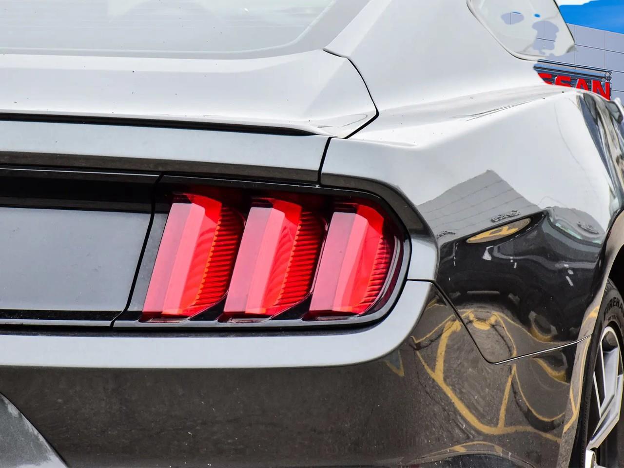 2017 Ford Mustang EcoBoost 2dr Fastback Photo